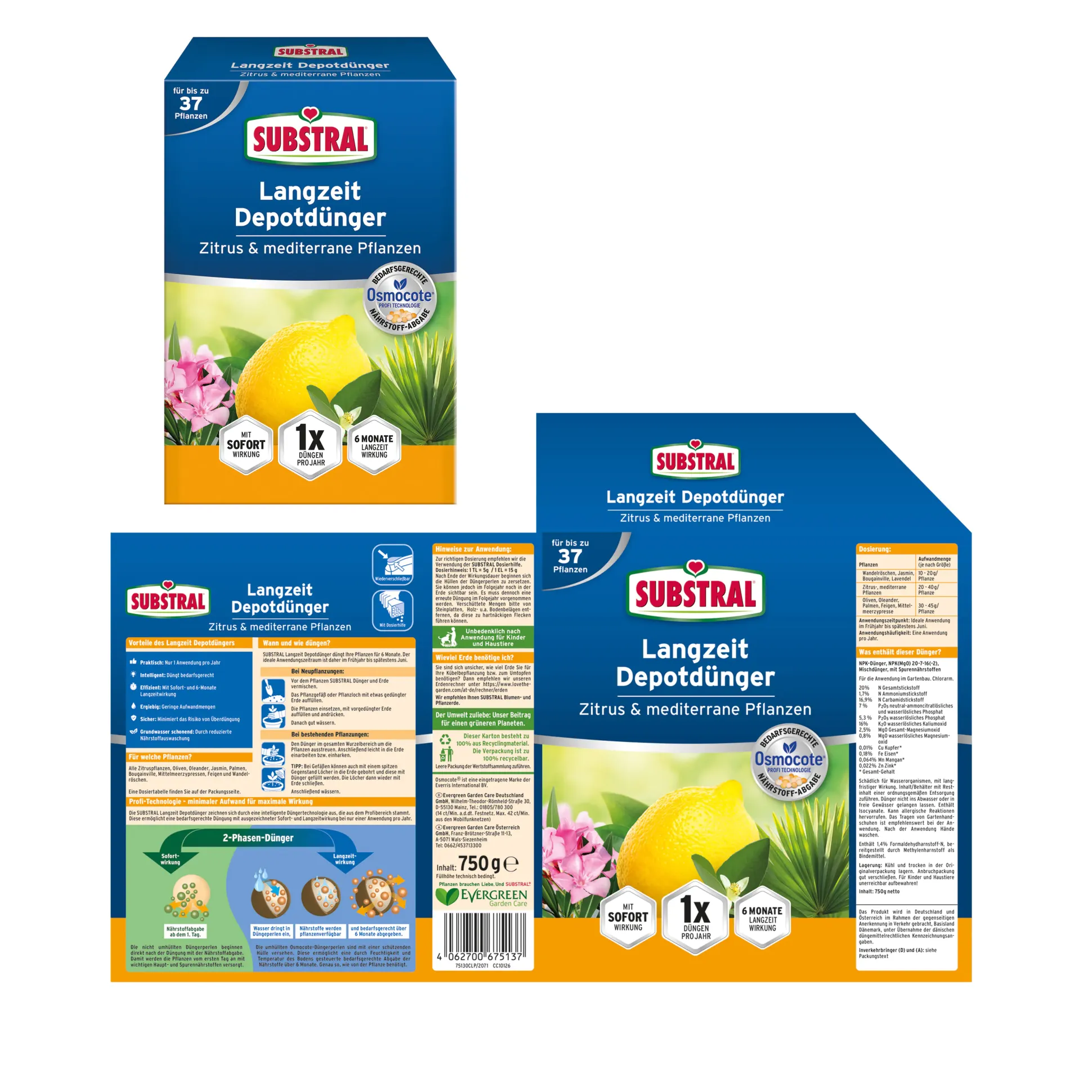 Substral Langzeit Depotdünger Zitrus & mediterrane Pflanzen 750 g