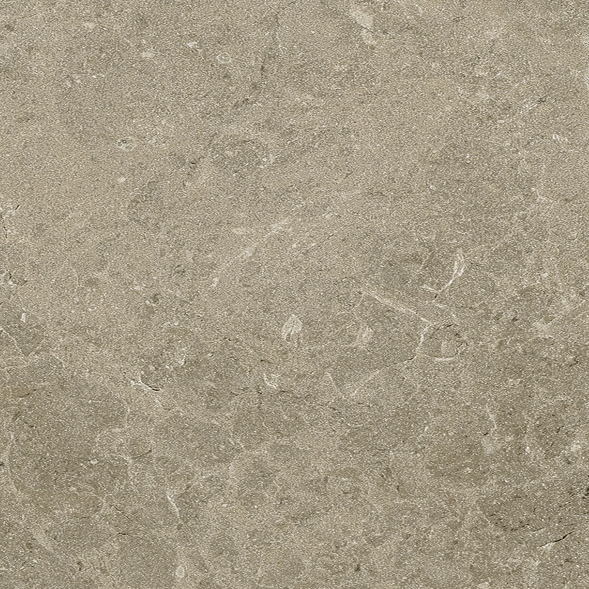 Terrassenplatte Botticino 60 x 60 cm Taupe