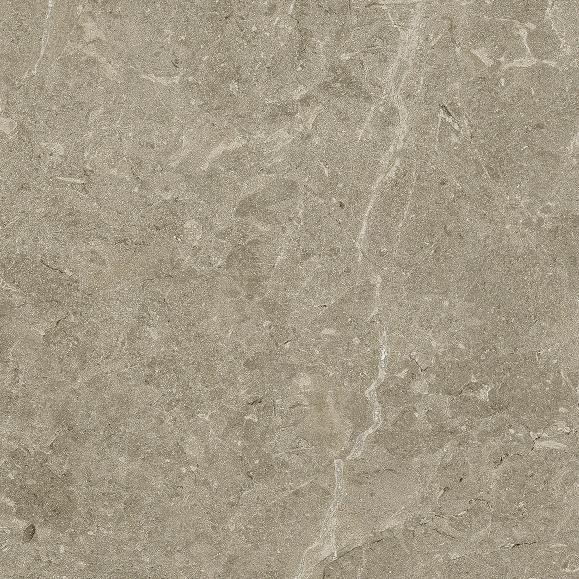 Terrassenplatte Botticino 60 x 60 cm Taupe
