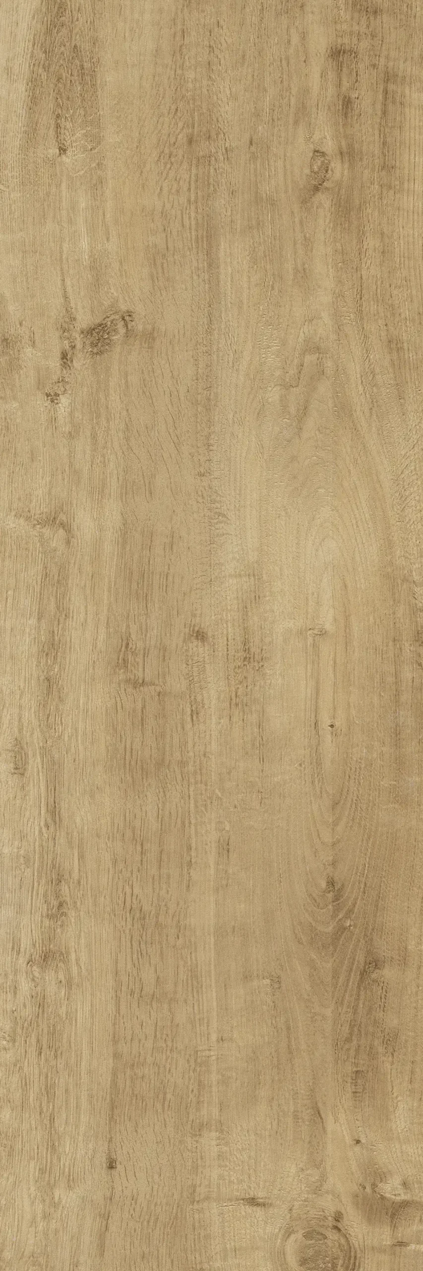 Terrassenplatte Feinsteinzeug TimberTwo 40 x 120 x 2 cm braun