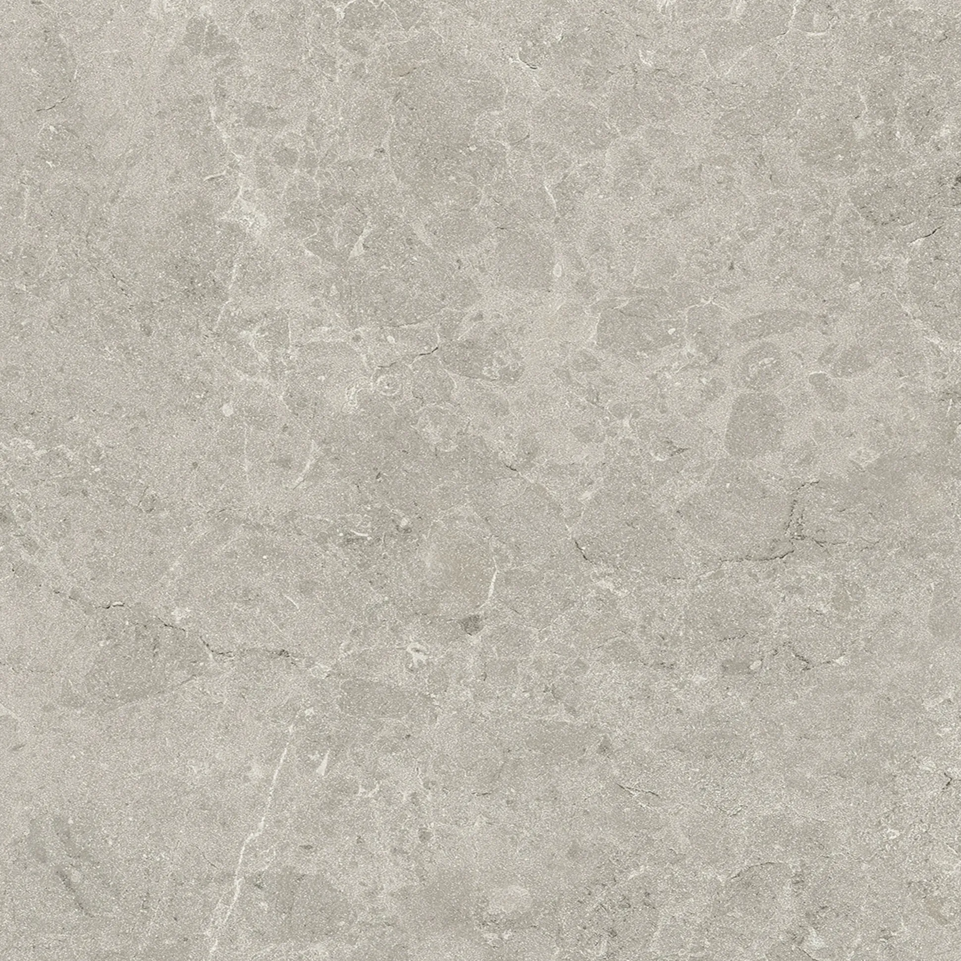 Terrassenplatte Feinsteinzeug Botticino 60 x 60 x 2 cm grau
