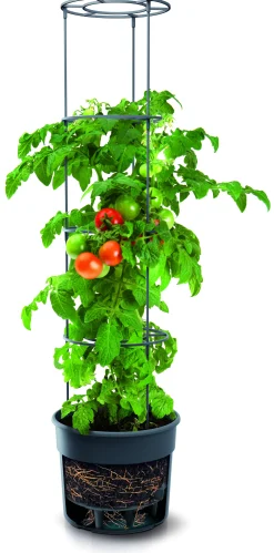 Tomatentopf aus Kunststoff anthrazit