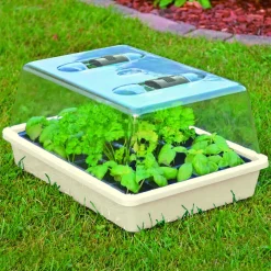 TrendLine Anzuchtschale 38 x 24 x 6 cm creme