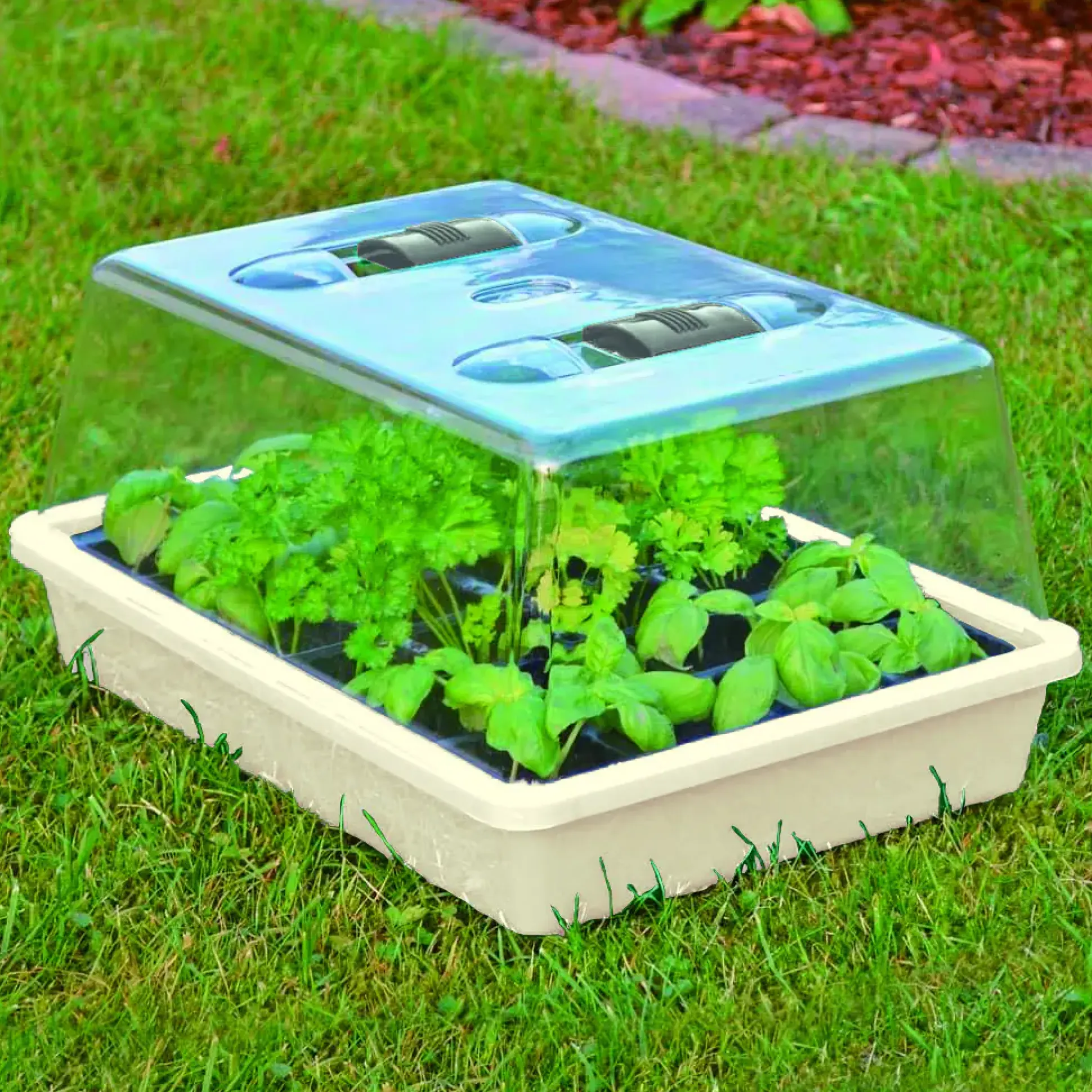 TrendLine Anzuchtschale 38 x 24 x 6 cm creme