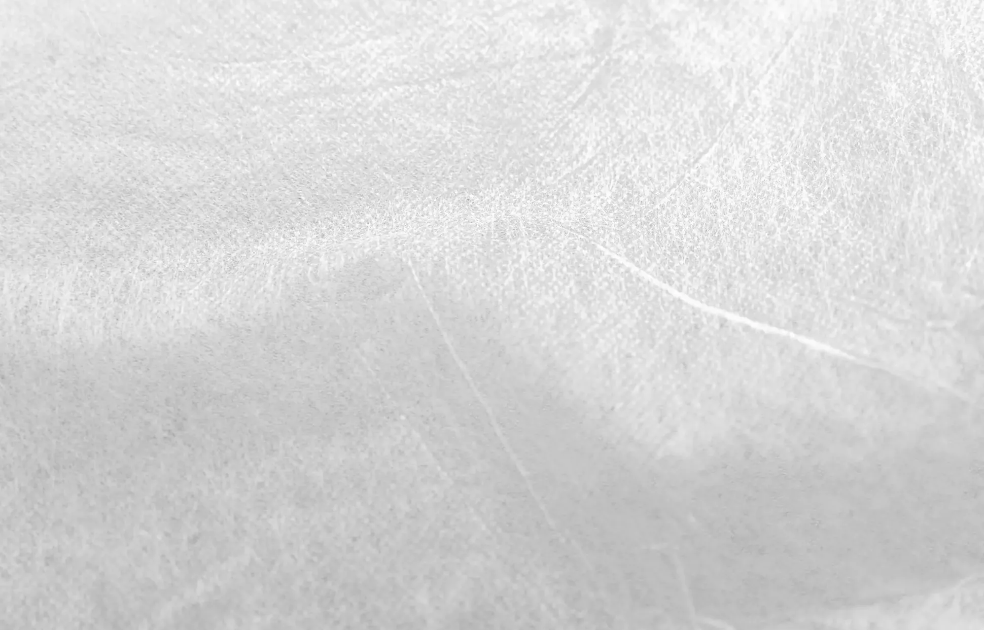 TrendLine Frühbeetvlies 1,5 x 10 m