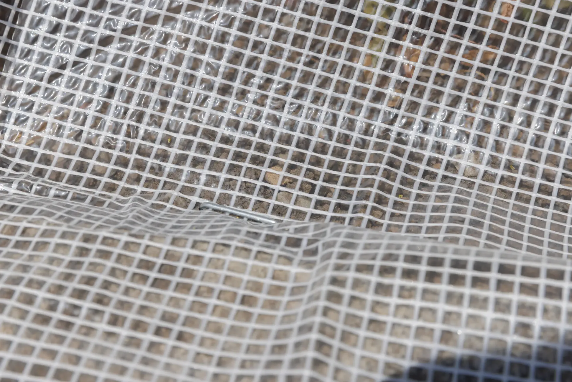 TrendLine Gitterfolie 3 x 2 m