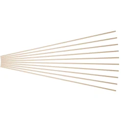 TrendLine Pflanzstab Bambus 50 cm