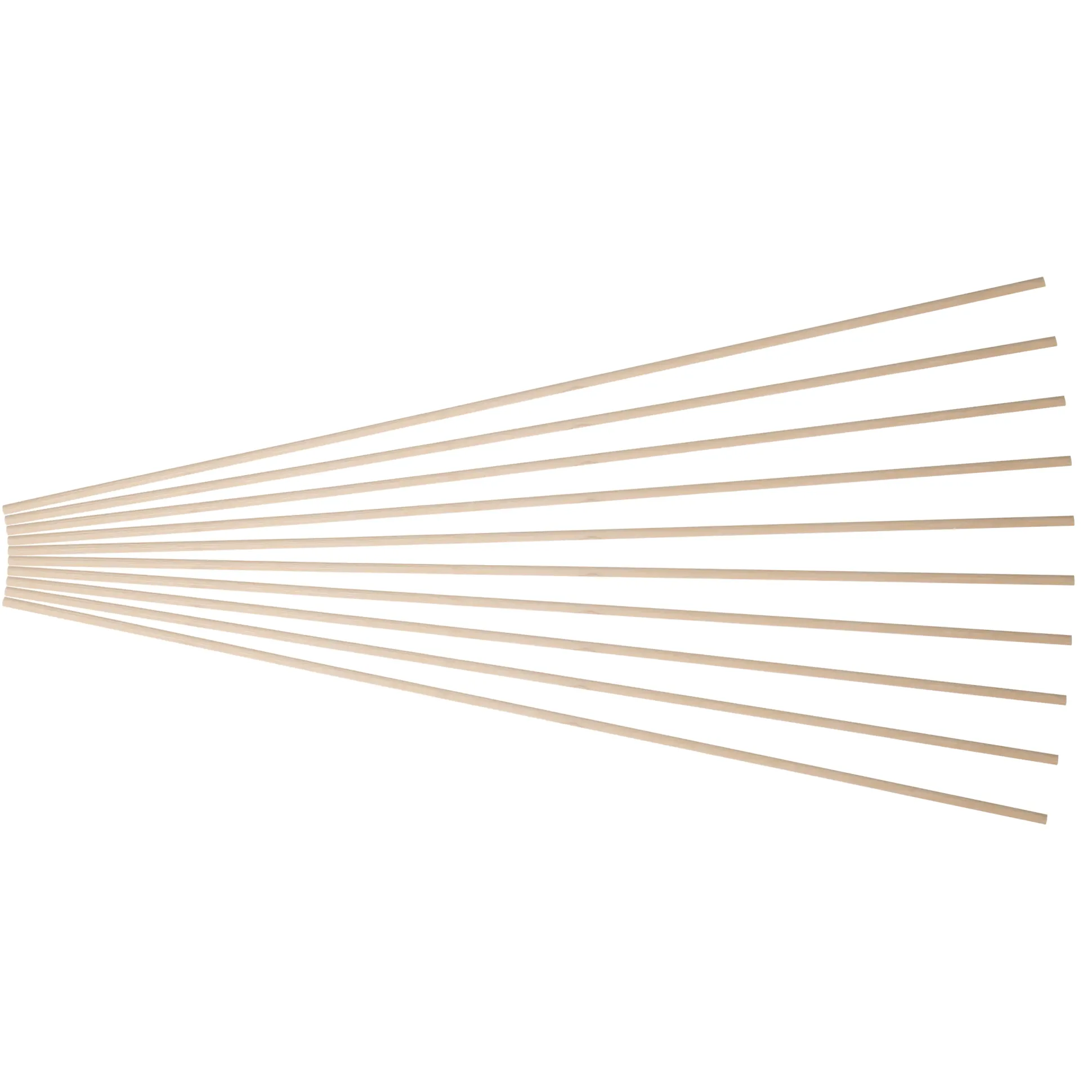 TrendLine Pflanzstab Bambus 50 cm