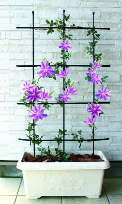 TrendLine Rankgitter 120 cm