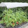 TrendLine Tomatenschutzdach ca. 200 x 112 x 80/180 cm