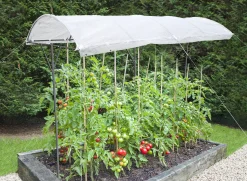 TrendLine Tomatenschutzdach ca. 200 x 112 x 80/180 cm
