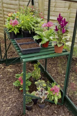 Vitavia Alutisch 121 x 54 x 76 cm smaragd 1 Ablage
