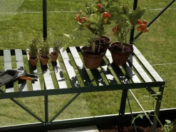Vitavia Alutisch 121 x 54 x 76 cm smaragd 1 Ablage