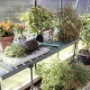 Vitavia Alutisch 120 x 56 x 81 smaragd