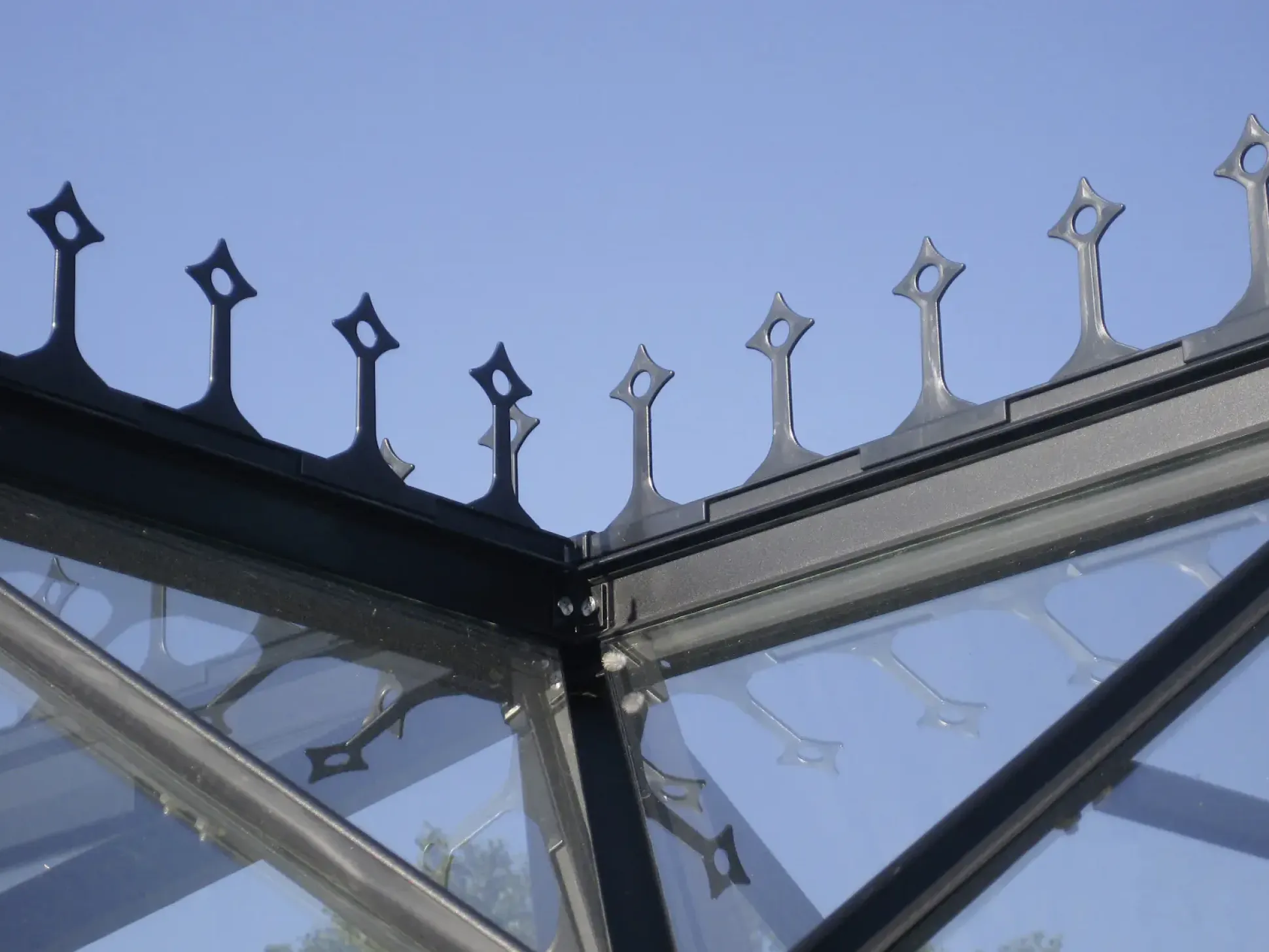 Vitavia Firstkrone zu Gewächshaus Sirius schwarz