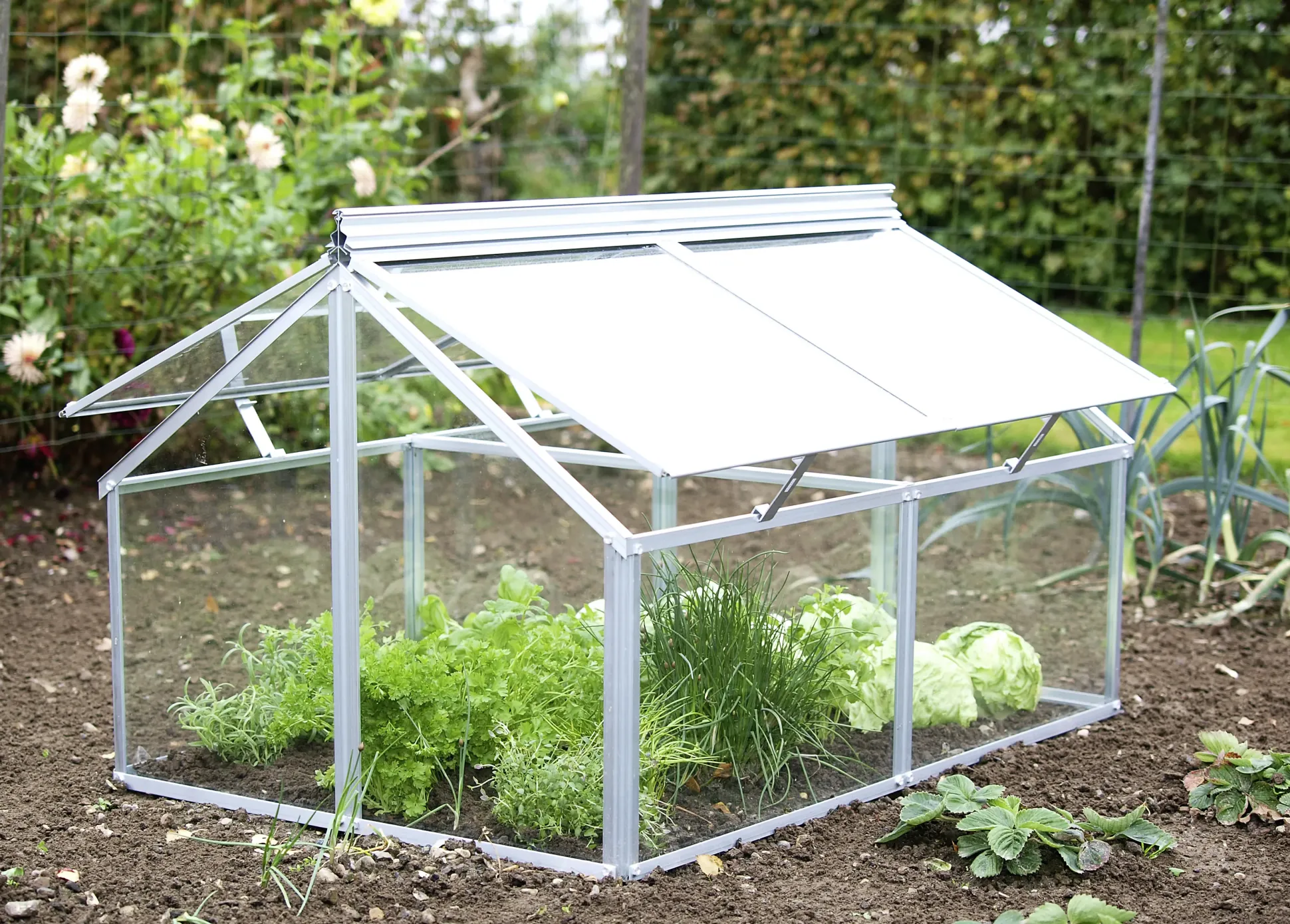 Vitavia Frühbeet Gaia Jumbo ESG 119 x 83 x 72 cm