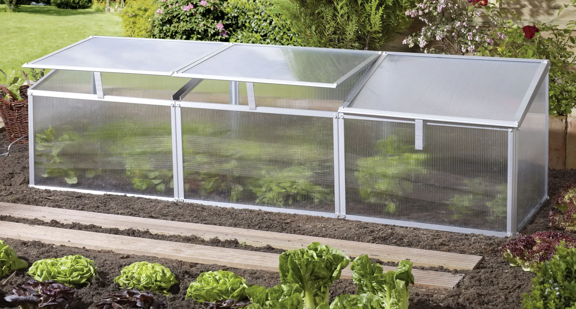 Vitavia Frühbeet Gaia 3X 53 x 180 cm inkl. 3 Dachfenstern