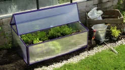 Vitavia Frühbeet Levana 1 57 x 98 cm feige