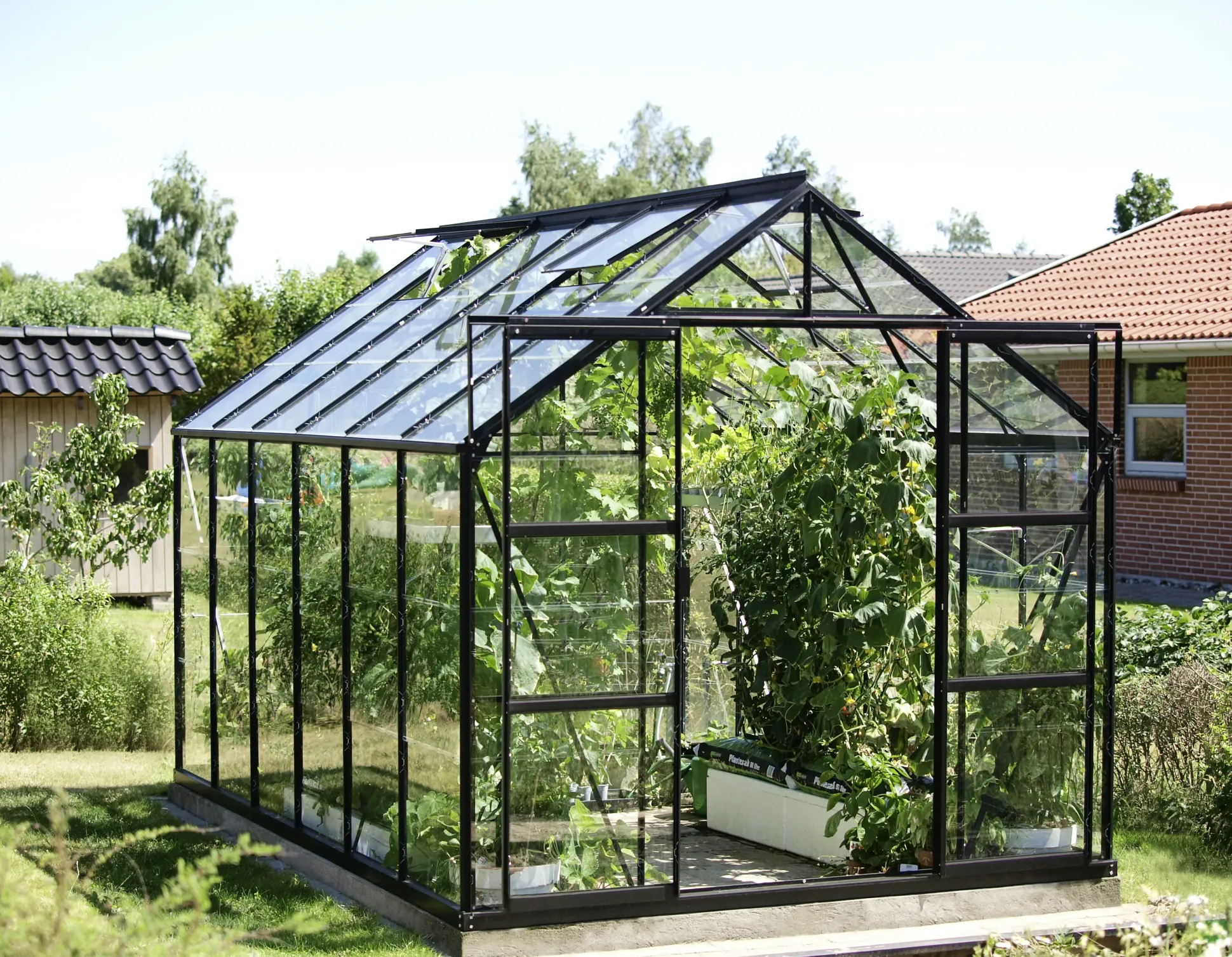 Vitavia Gewächshaus Uranus 9900 ESG 3 mm 254 x 379 cm