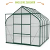 Vitavia Gewächshaus-Set Dione 8300 HKP 4 mm smaragd 254 x 316 cm