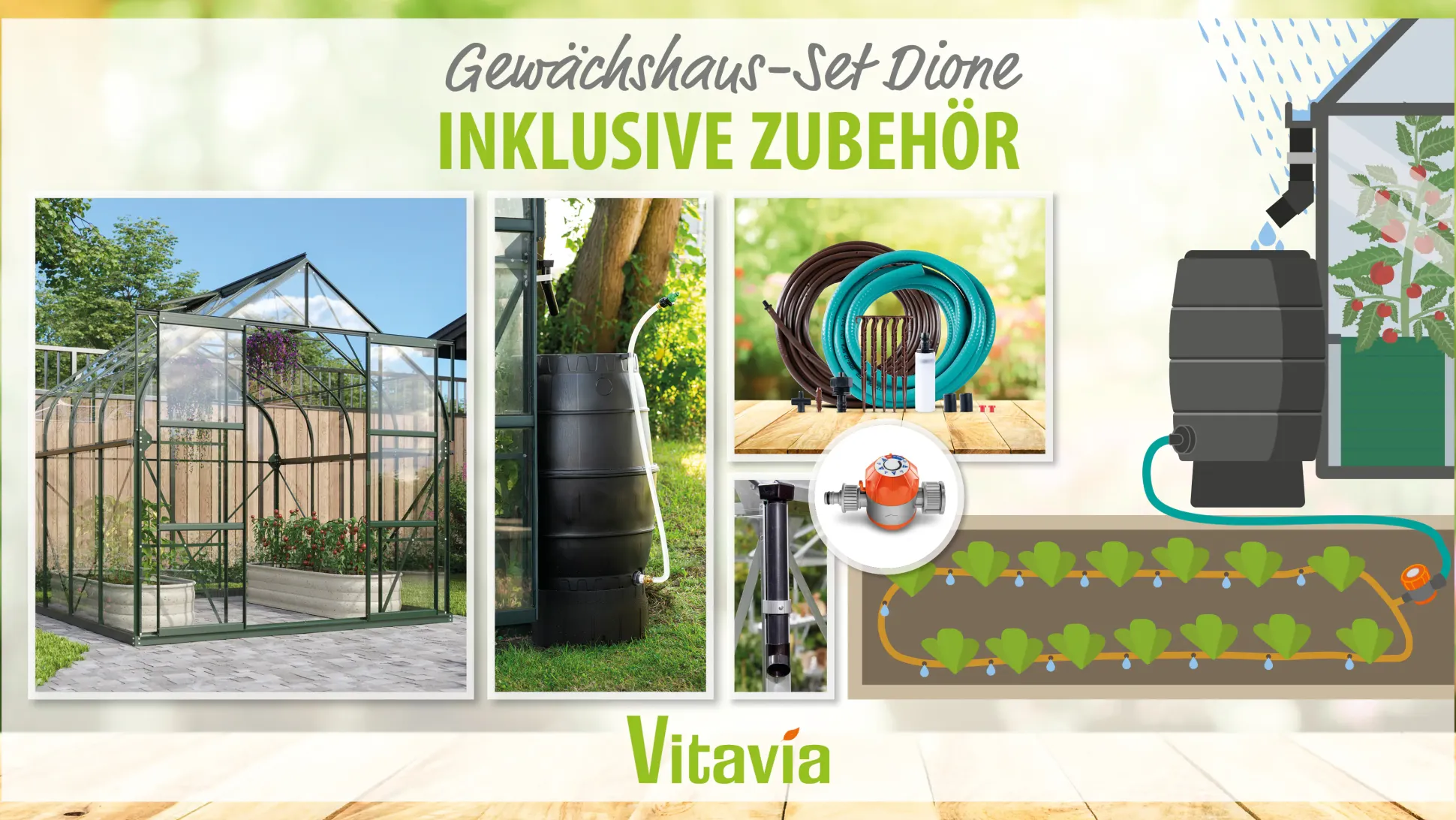 Vitavia Gewächshaus-Set Dione 6700 ESG 3 mm smaragd 254 x 254 cm