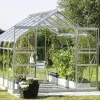 Vitavia Gewächshaus-Set Dione 8300 ESG 3 mm alu 254 x 317 cm