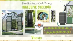 Vitavia Gewächshaus-Set Uranus 6700 HKP 4 mm smaragd 254 x 254 cm