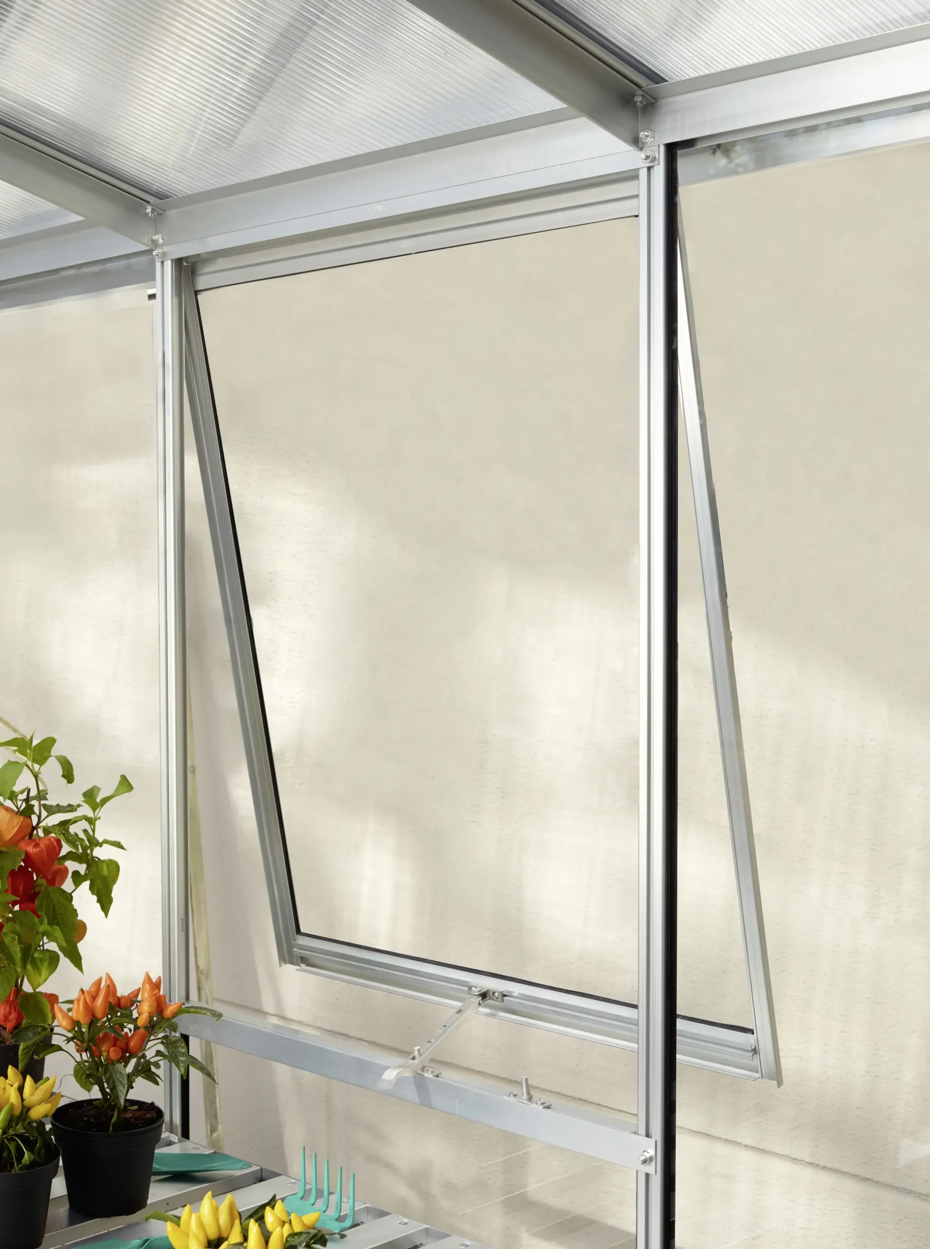 Vitavia Seitenfenster V zu Venus Apollo Freya Diana Uranus Cassandra Merkur