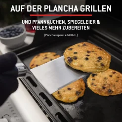 Weber Gasgrill Spirit E210 Grillfläche: 52 x 45 cm
