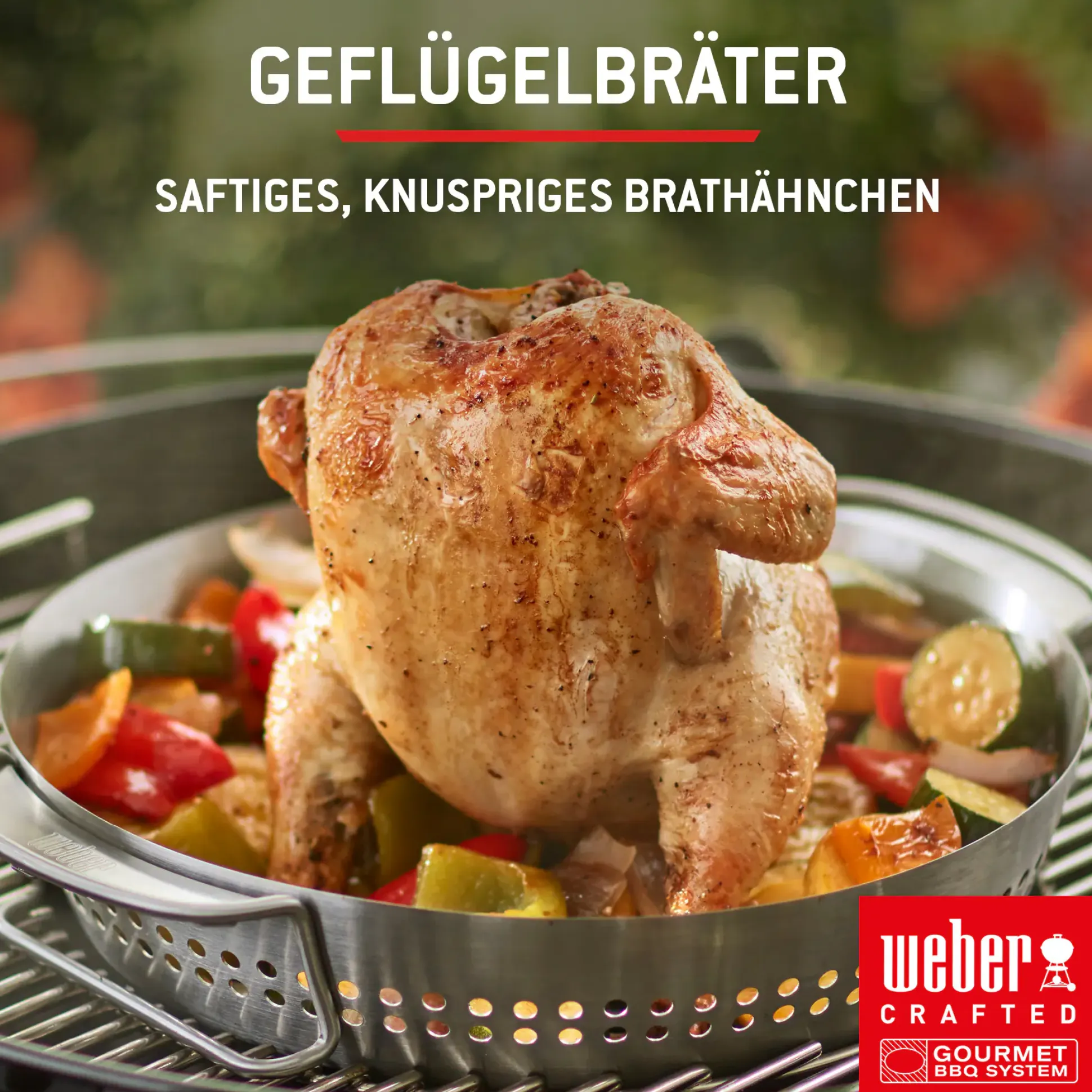 Weber Gasgrill Spirit E210 Grillfläche: 52 x 45 cm