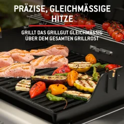 Weber Gasgrill Spirit E210 Grillfläche: 52 x 45 cm