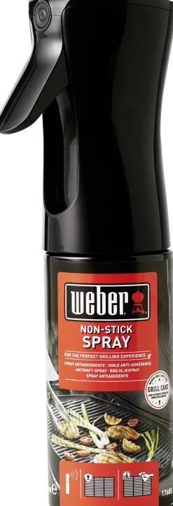 Weber Grillöl Non-stick Spray 200 ml zum Einfetten des Grillrostes
