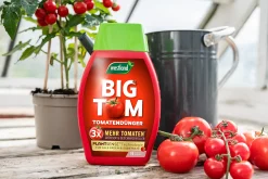 Westland Big Tom Tomatendünger 1 l