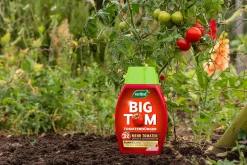 Westland Big Tom Tomatendünger 1 l