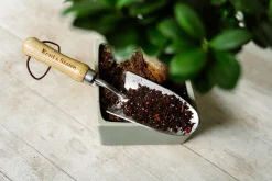 Westland Bonsai Erde torffrei 4 L