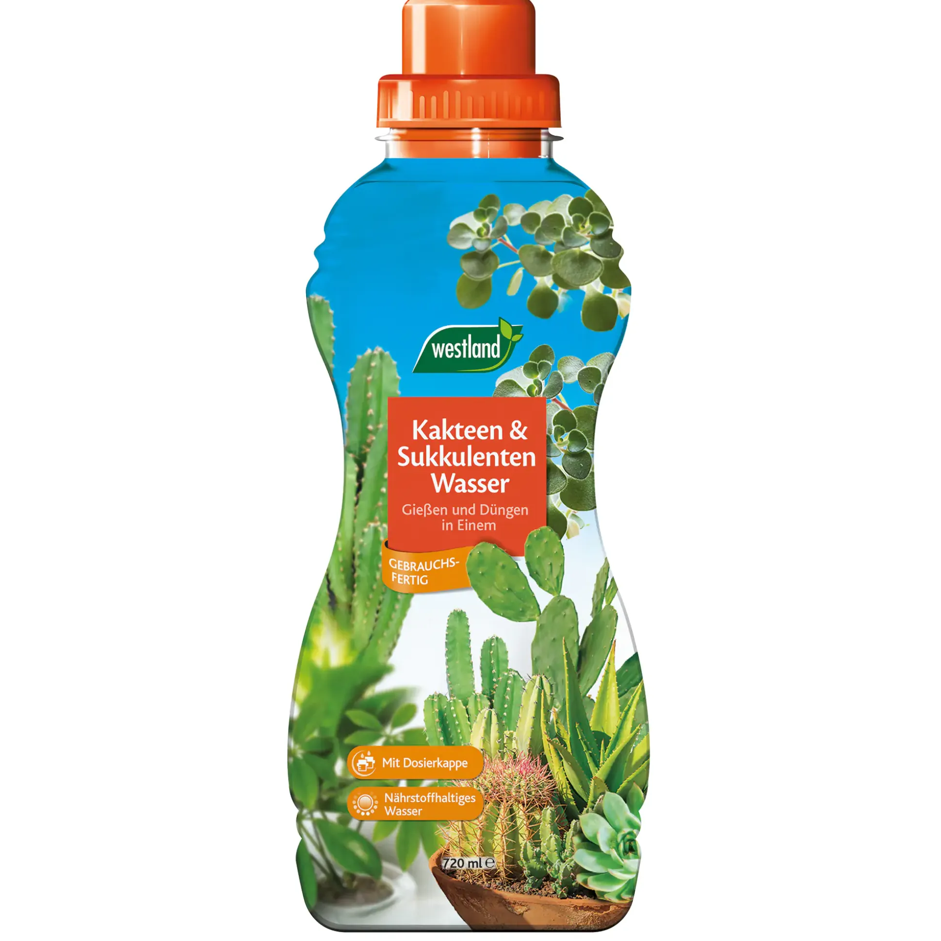 Westland Kakteen- & Sukkulenten Wasser 720 ml
