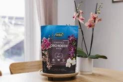 Westland Orchideen Erde torffrei 4 L