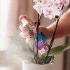 Westland Orchideen Vitalspray 250 ml