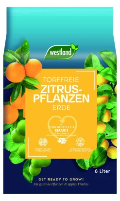 Westland Zitrus Erde torffrei 8 L