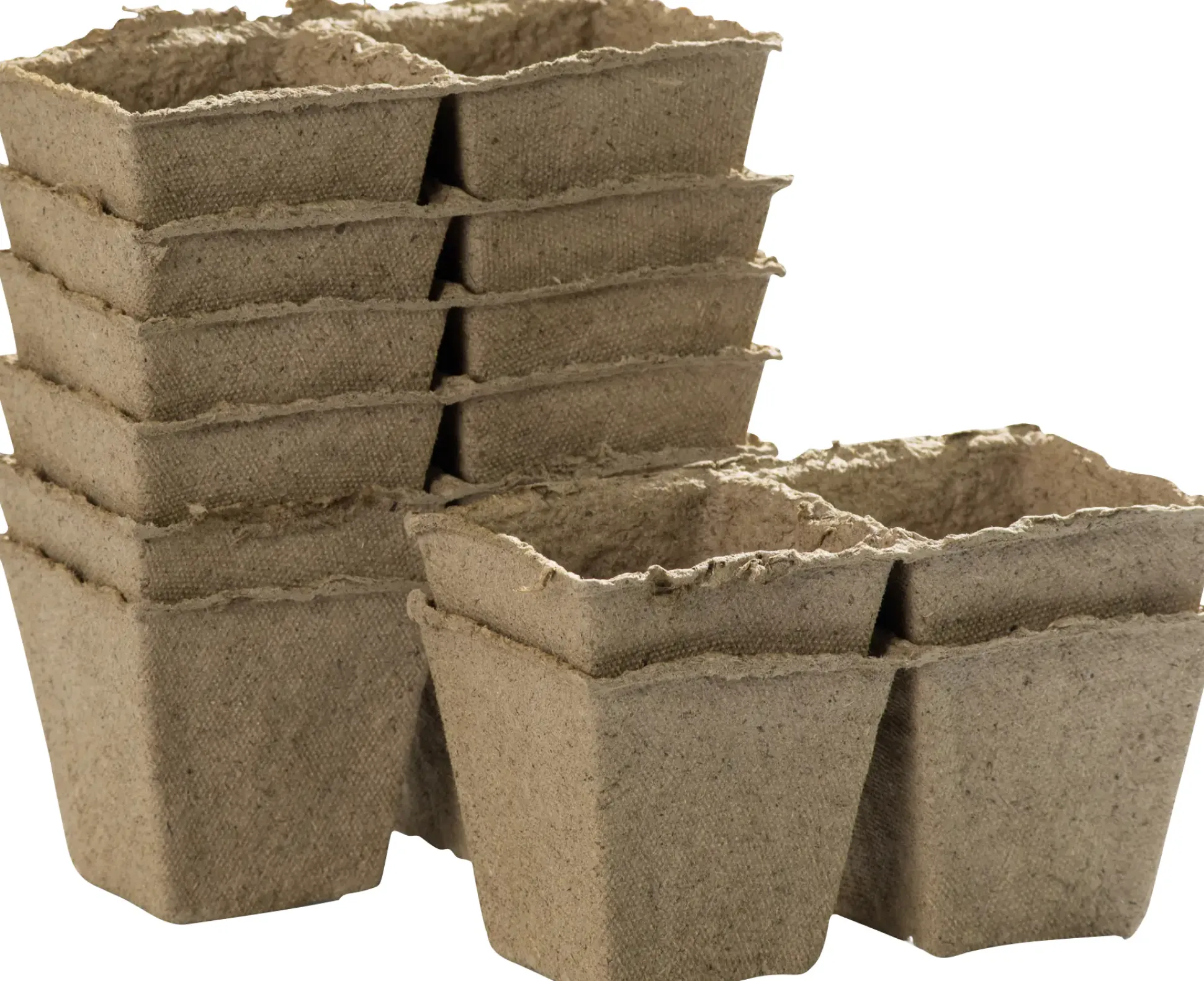 Windhager Anzuchttöpfe 12 x 6 cm, 24 Stück
