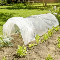Windhager Folientunnel Akkordeon 300 x 60 cm