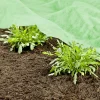 Windhager Frühbeetvlies 10 x 1,5 m, 20g/m²