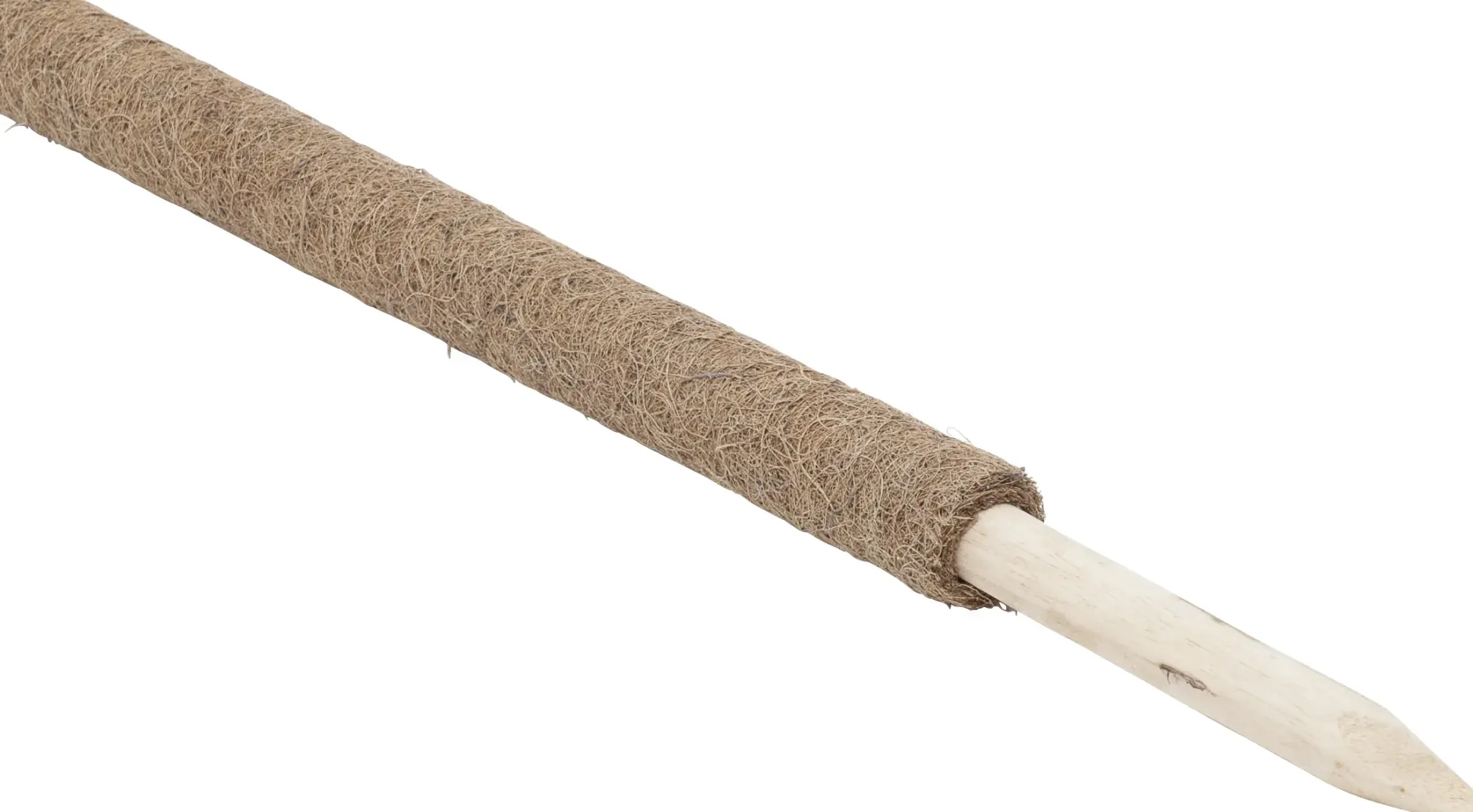 Windhager Kokos-Pflanzstab 80 cm