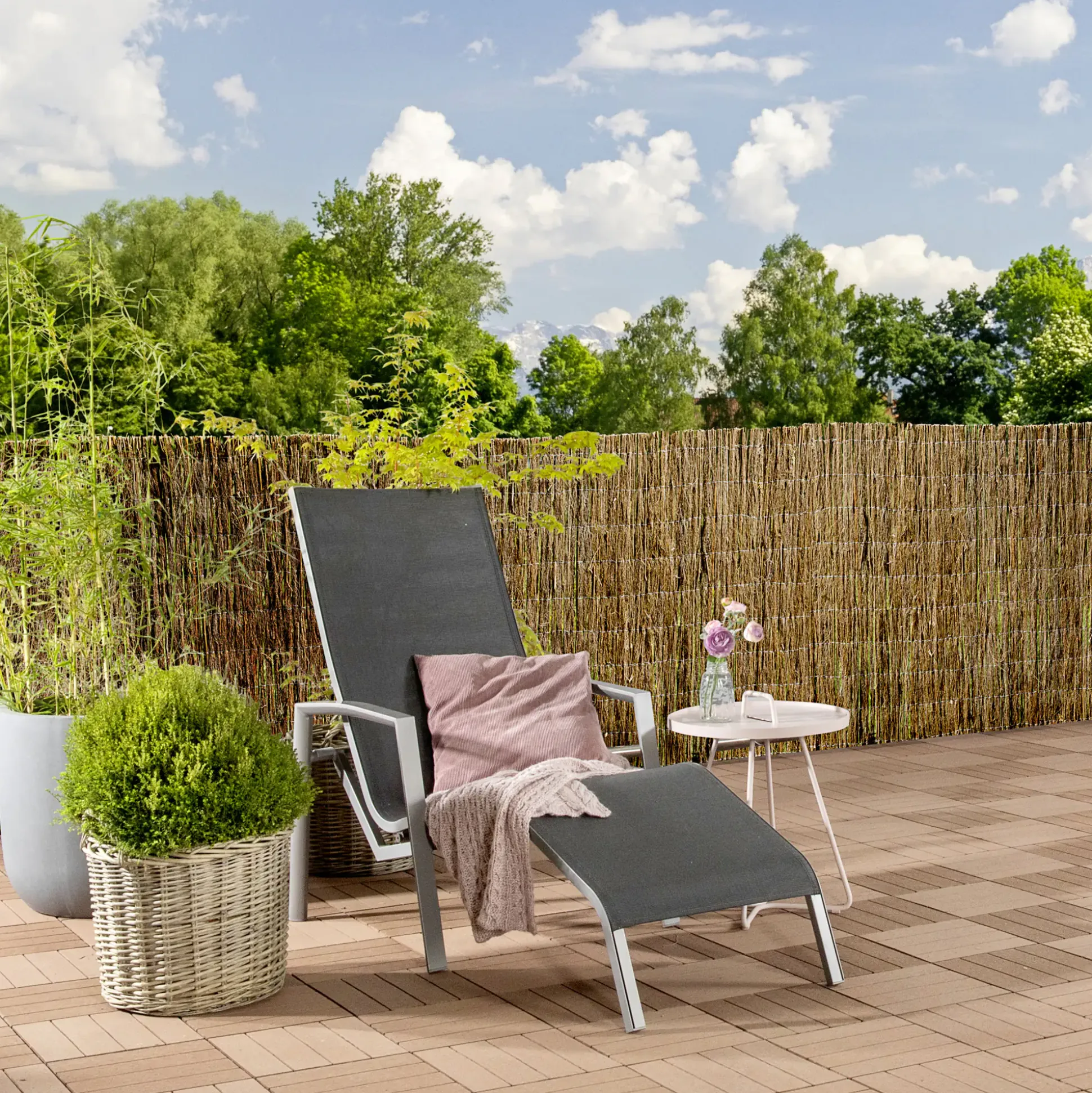 Windhager Sichtschutzmatte Weide 1,5 x 3 m