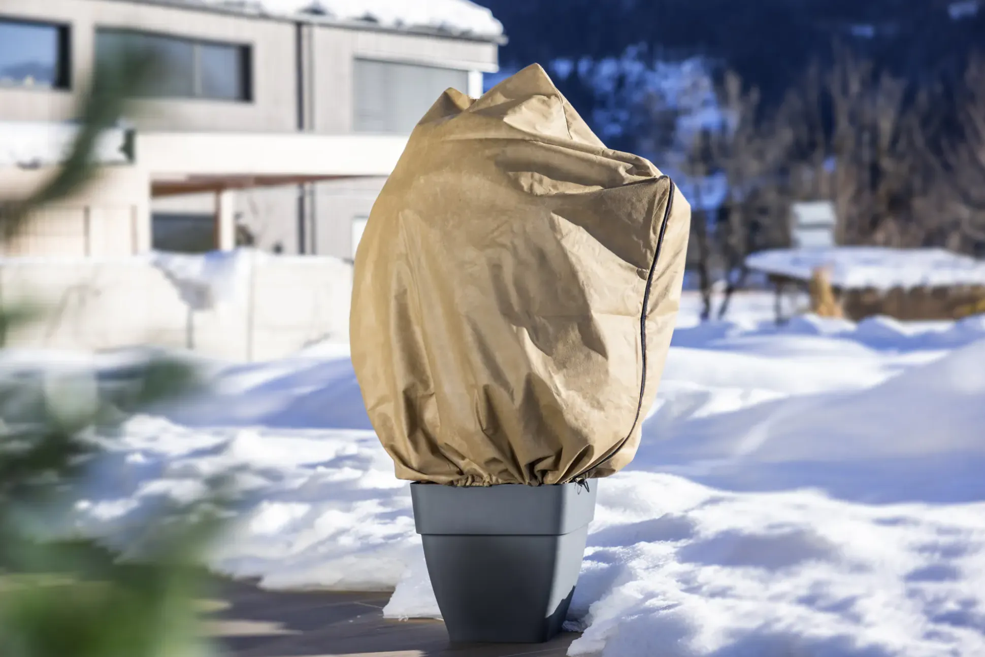 Windhager Winterschutz für Pflanzen Schutzhaube Ultraproject 110 x 110 cm beige