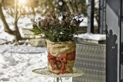 Windhager Winterschutz für Pflanzen Jute 0,5 x 4 m natur