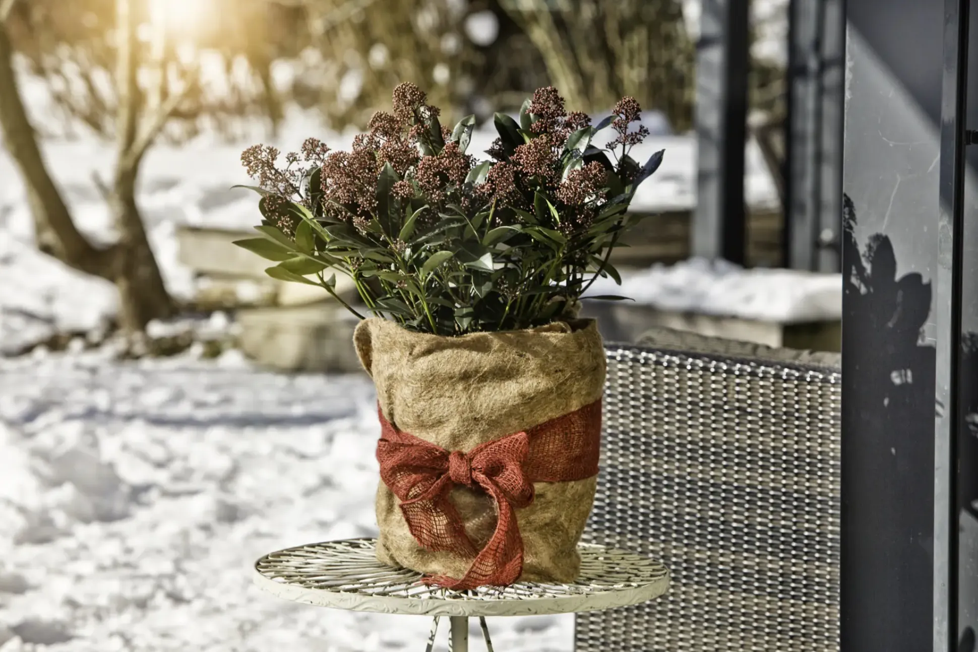 Windhager Winterschutz für Pflanzen Jute 0,5 x 4 m natur