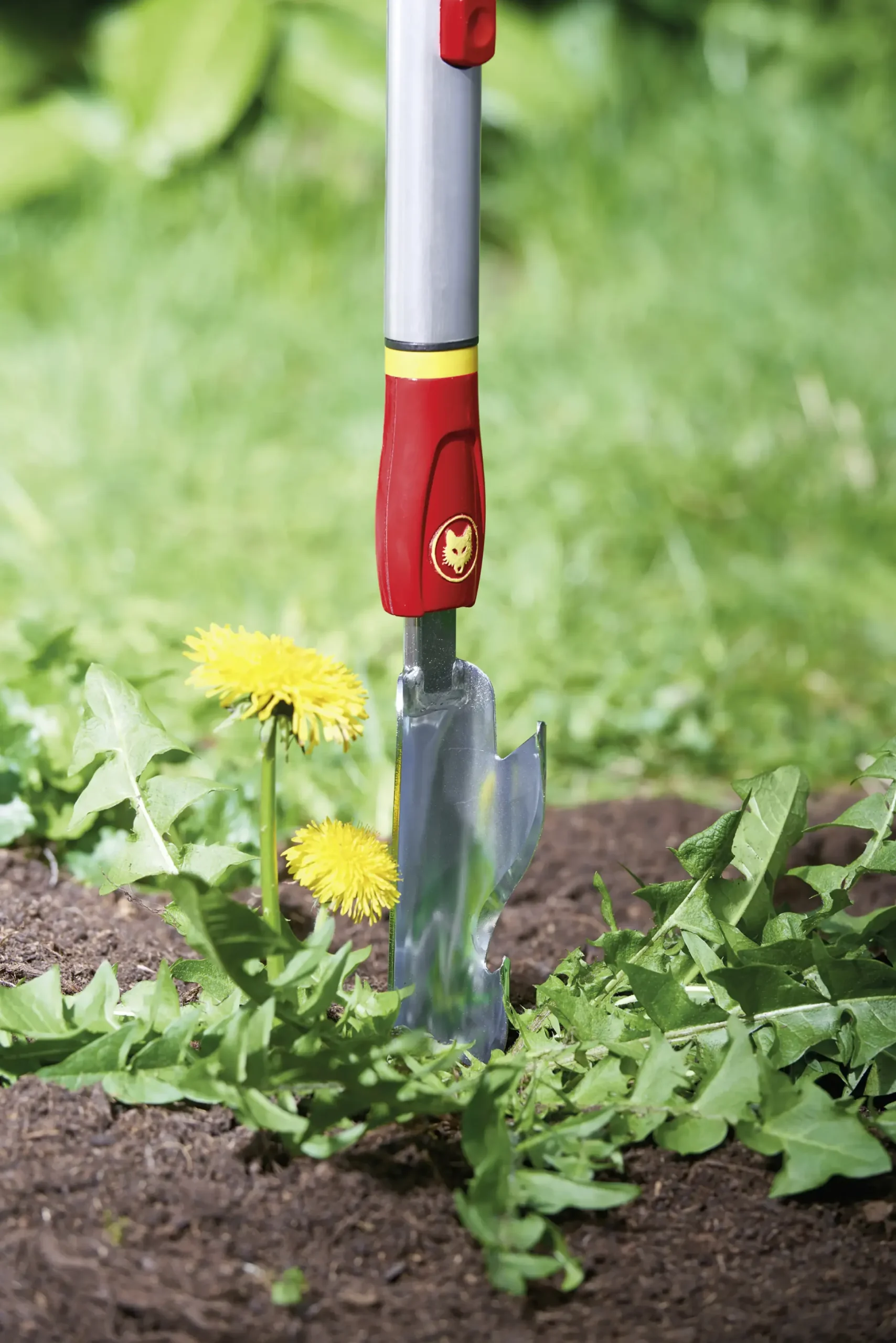 Wolf Garten Distelstecher IW-M 4 cm Arbeitsbreite