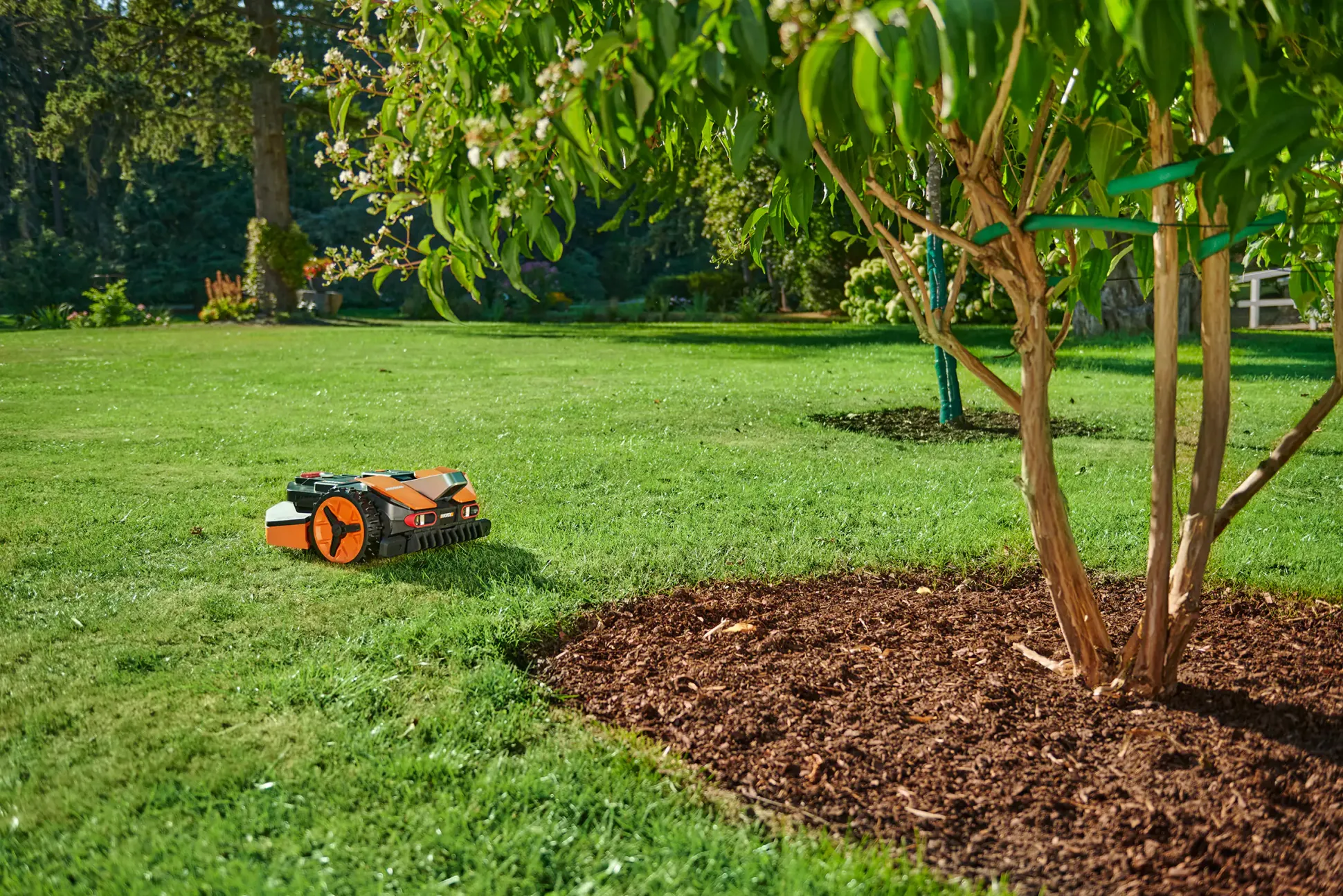 Worx Mähroboter Vision M800 19 cm Schnittbreite
